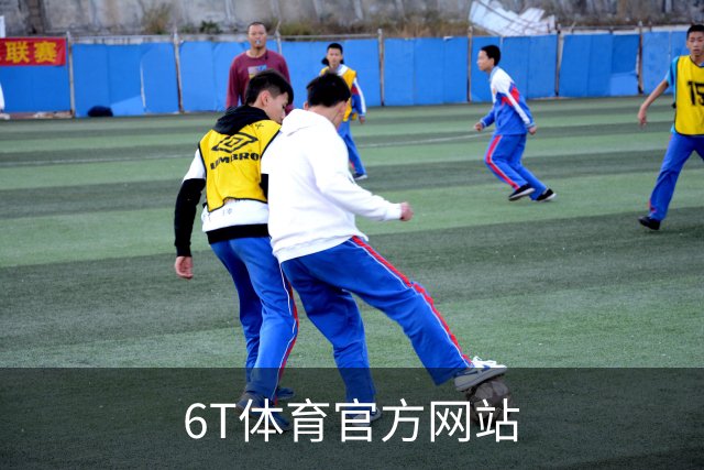 6T体育官方网站